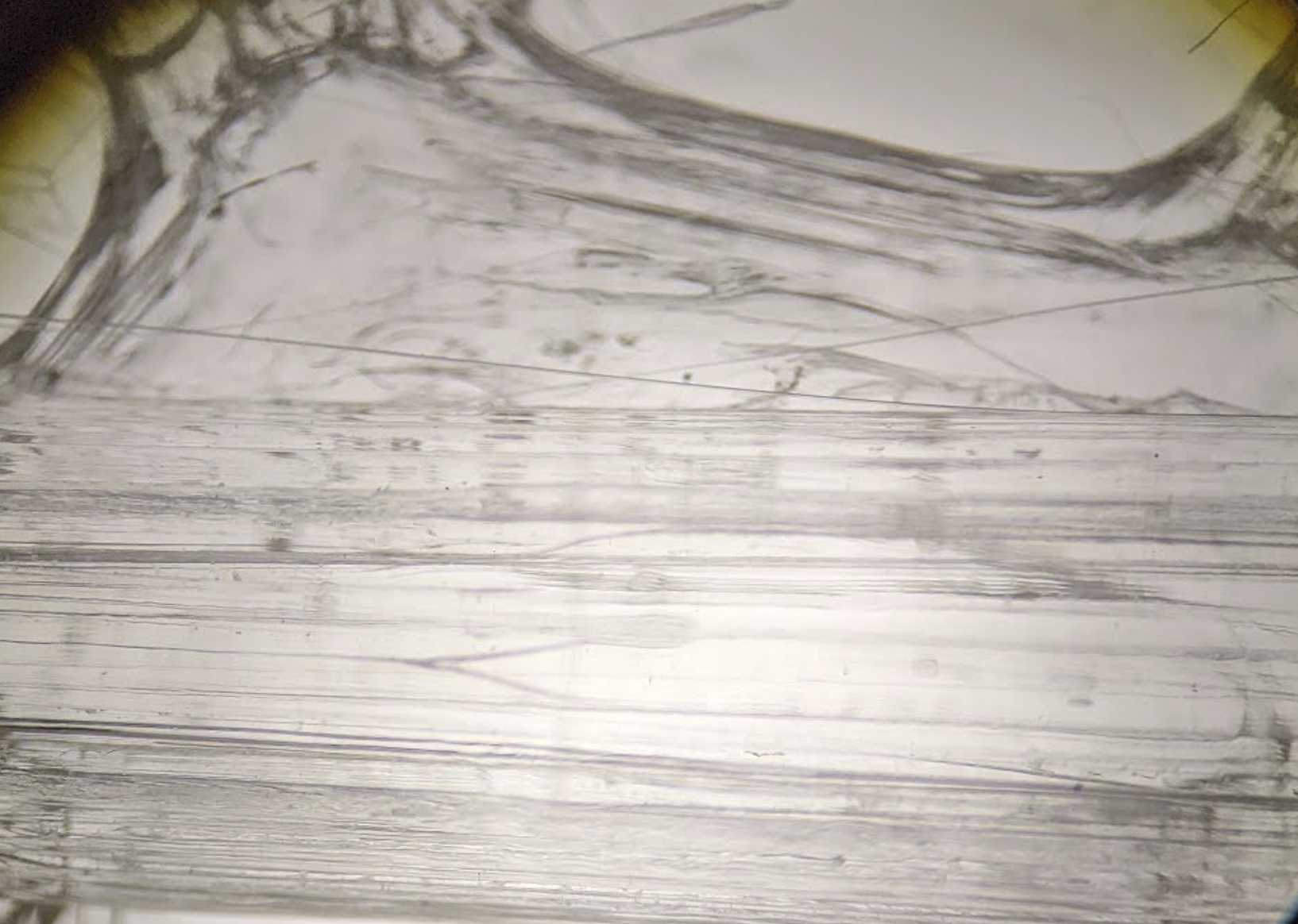 Optically clear microscopic view of a PC print